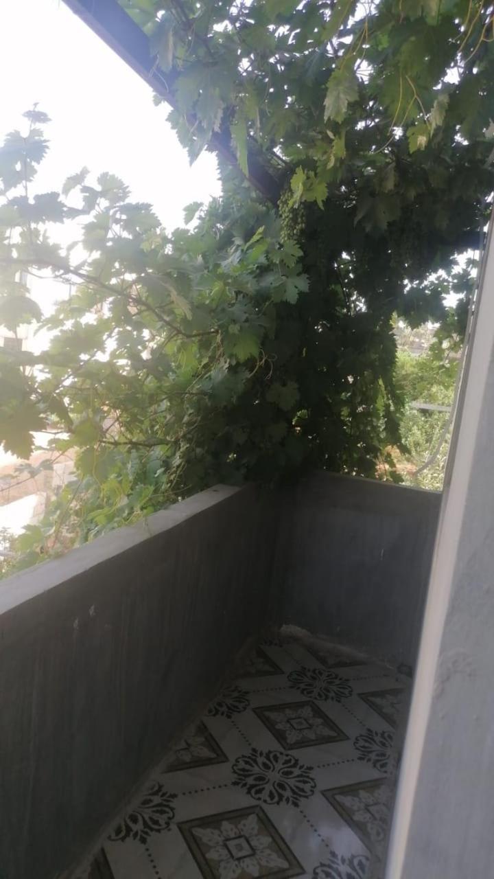 الاردن عجلون رأس منيف Apartment Ibbin Luaran gambar